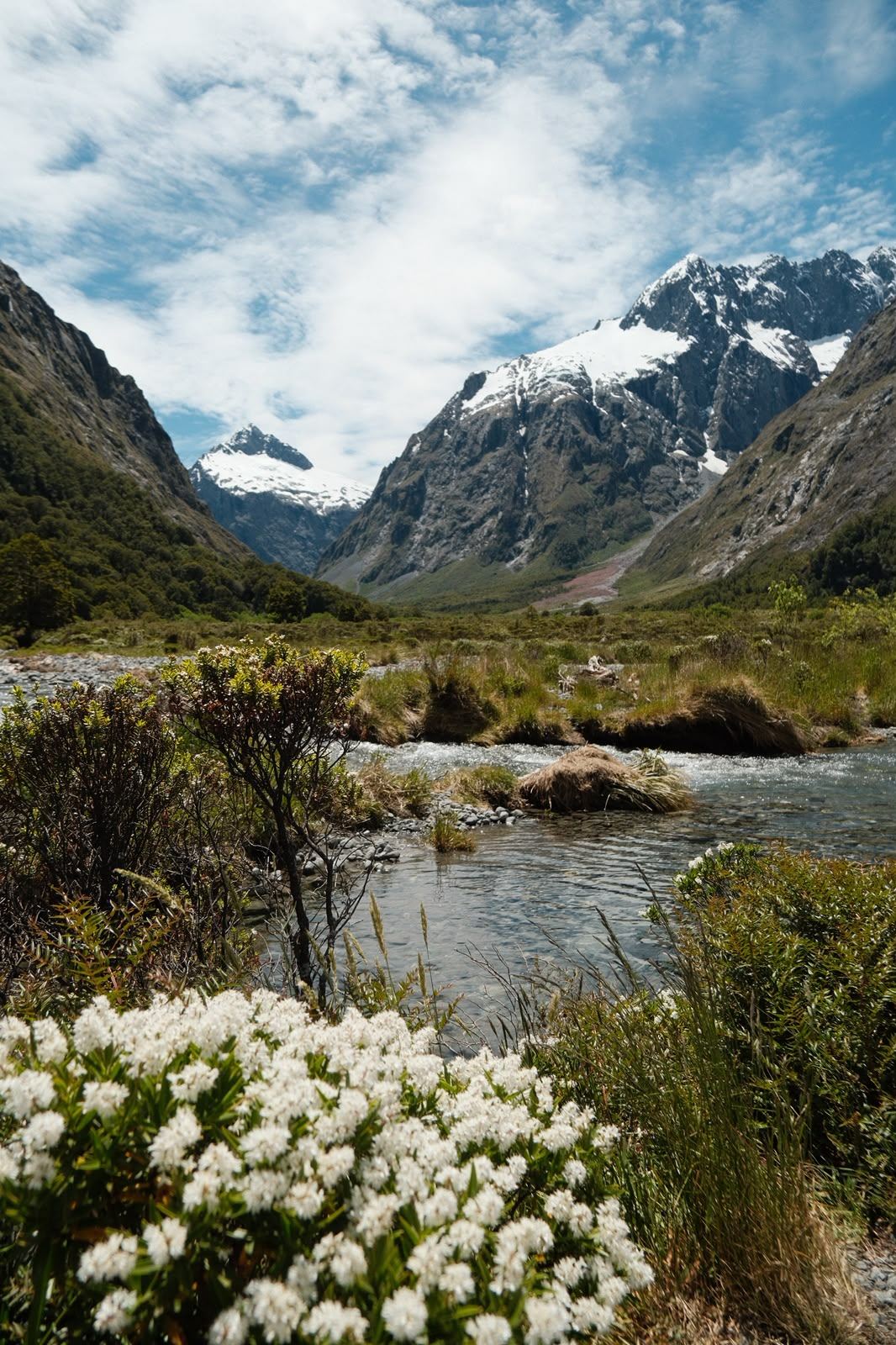 Alpine valley and stream